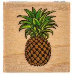 Top 10 ???? Pineapple Rubber Stamp ????