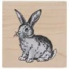 Wholesale ⭐ Rabbit Rubber Stamp ✨