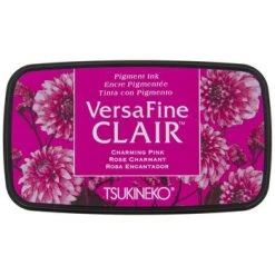 Flash Sale ???? VersaFine Clair Pigment Ink Pad ⌛
